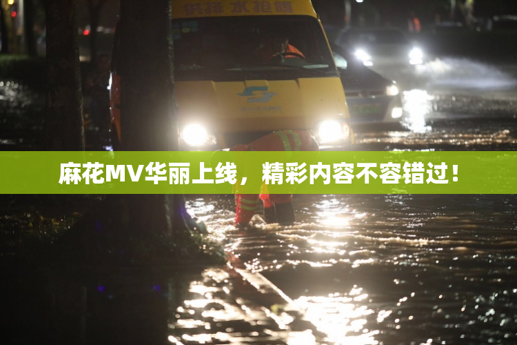 麻花MV华丽上线，精彩内容不容错过！