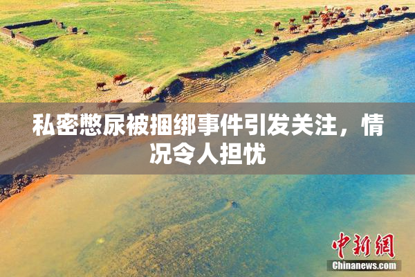 私密憋尿被捆绑事件引发关注，情况令人担忧