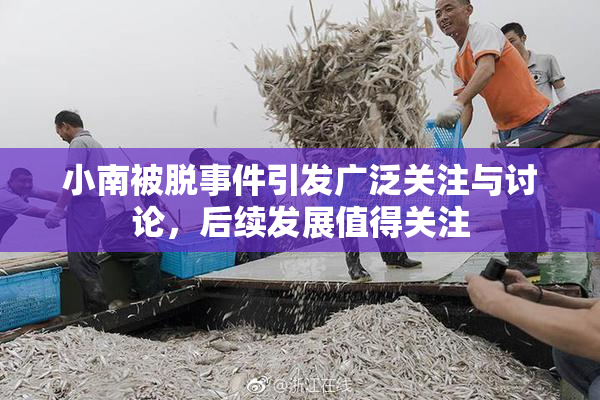小南被脱事件引发广泛关注与讨论，后续发展值得关注