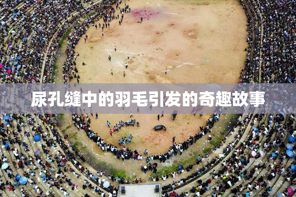 尿孔缝中的羽毛引发的奇趣故事