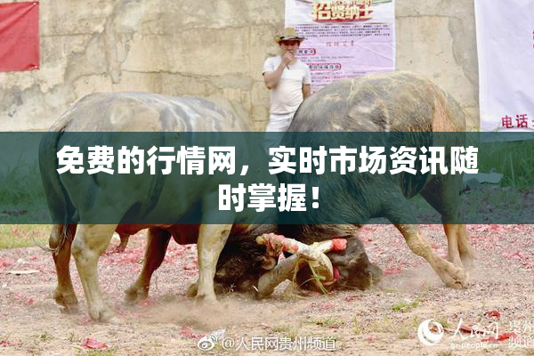 免费的行情网，实时市场资讯随时掌握！