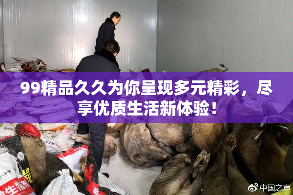99精品久久为你呈现多元精彩，尽享优质生活新体验！