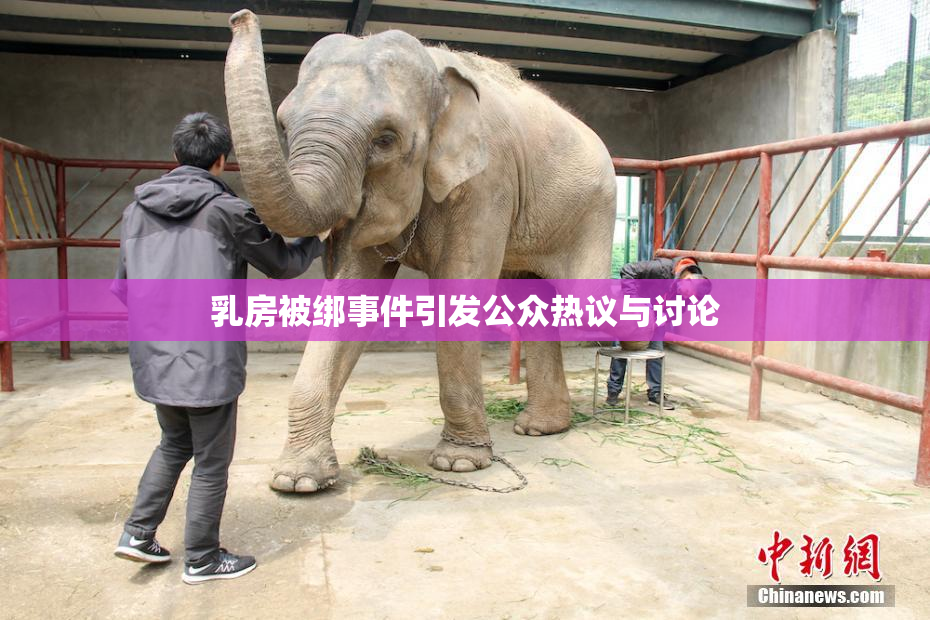 乳房被绑事件引发公众热议与讨论