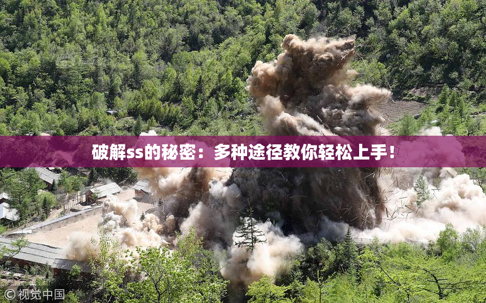 破解ss的秘密：多种途径教你轻松上手！