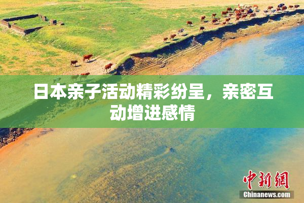 日本亲子活动精彩纷呈，亲密互动增进感情