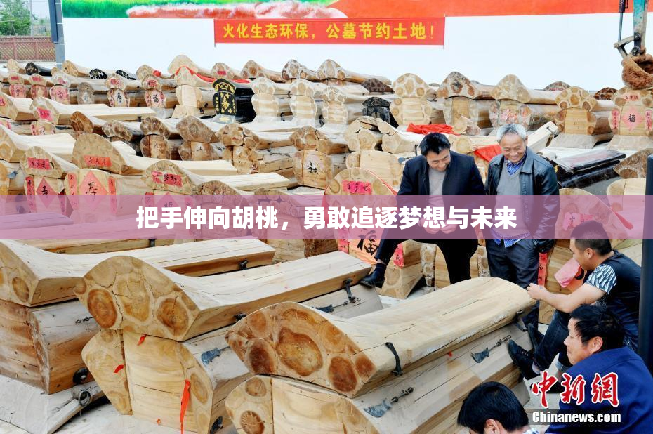 把手伸向胡桃，勇敢追逐梦想与未来