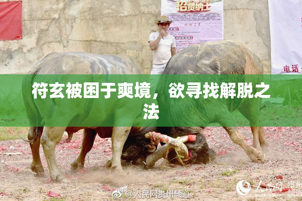 符玄被困于爽境，欲寻找解脱之法