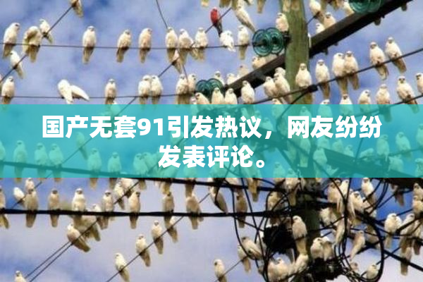 国产无套91引发热议，网友纷纷发表评论。