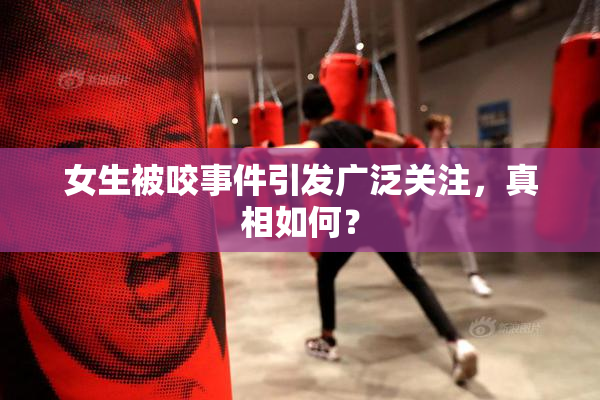 女生被咬事件引发广泛关注，真相如何？