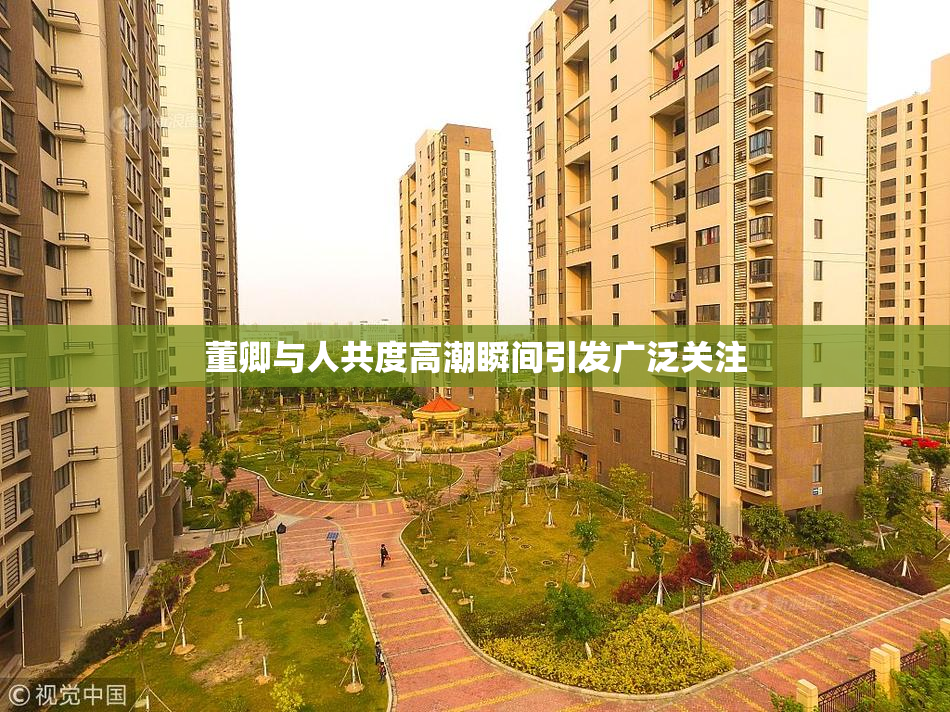 董卿与人共度高潮瞬间引发广泛关注