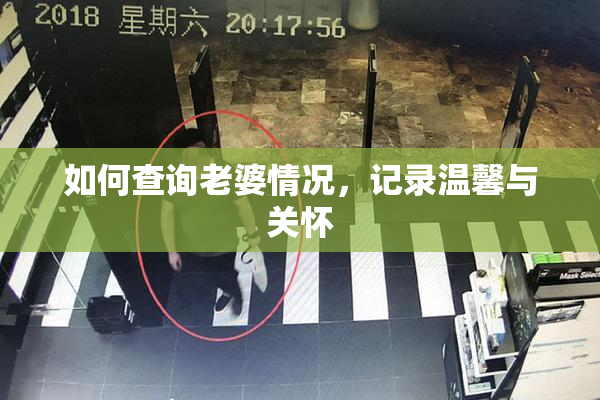 如何查询老婆情况，记录温馨与关怀
