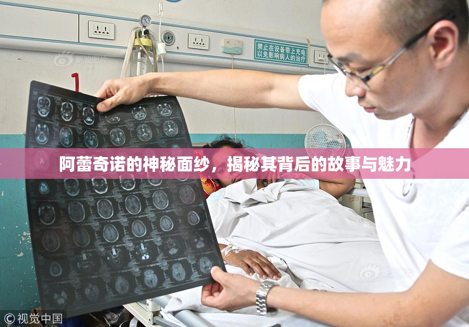 阿蕾奇诺的神秘面纱，揭秘其背后的故事与魅力