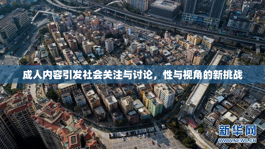 成人内容引发社会关注与讨论，性与视角的新挑战