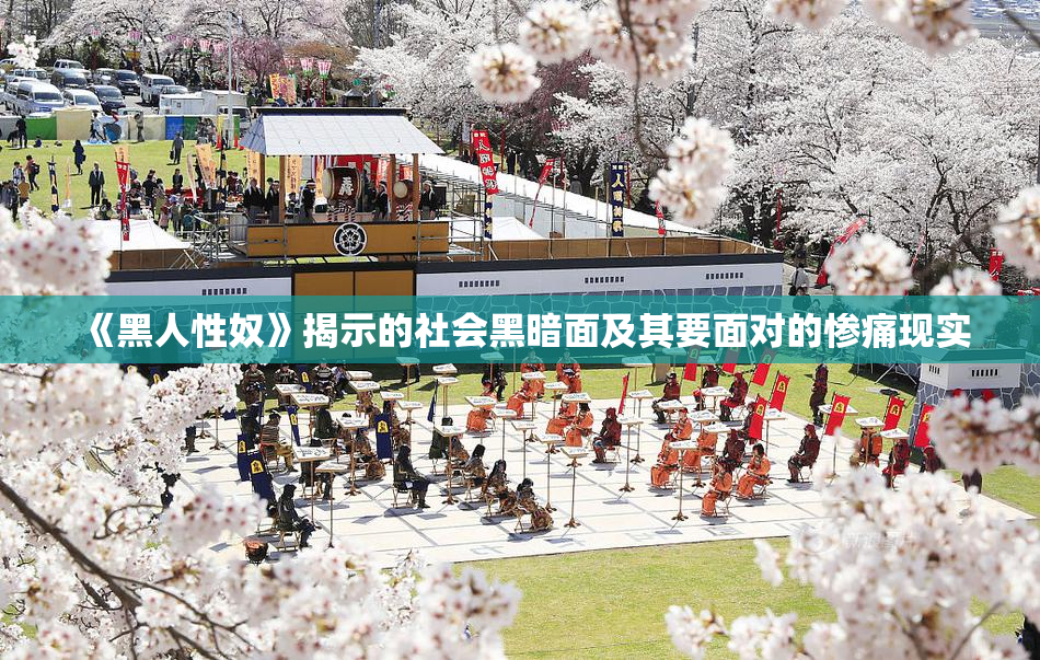 《黑人性奴》揭示的社会黑暗面及其要面对的惨痛现实