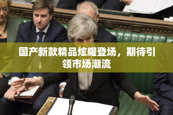 国产新款精品炫耀登场，期待引领市场潮流