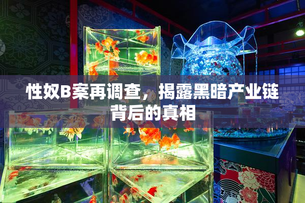 性奴B案再调查，揭露黑暗产业链背后的真相