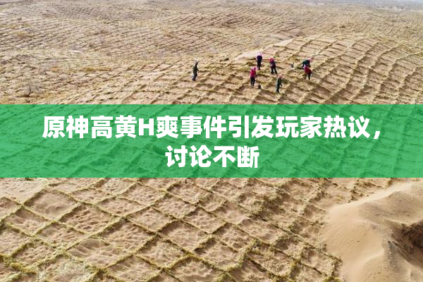 原神高黄H爽事件引发玩家热议，讨论不断