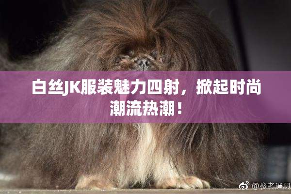 白丝JK服装魅力四射，掀起时尚潮流热潮！