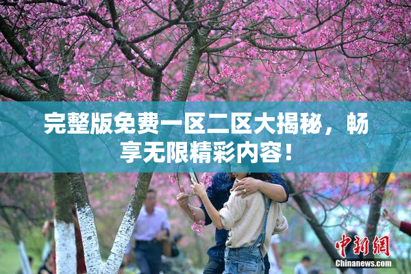完整版免费一区二区大揭秘，畅享无限精彩内容！
