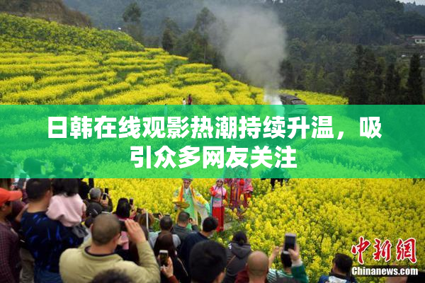 日韩在线观影热潮持续升温，吸引众多网友关注
