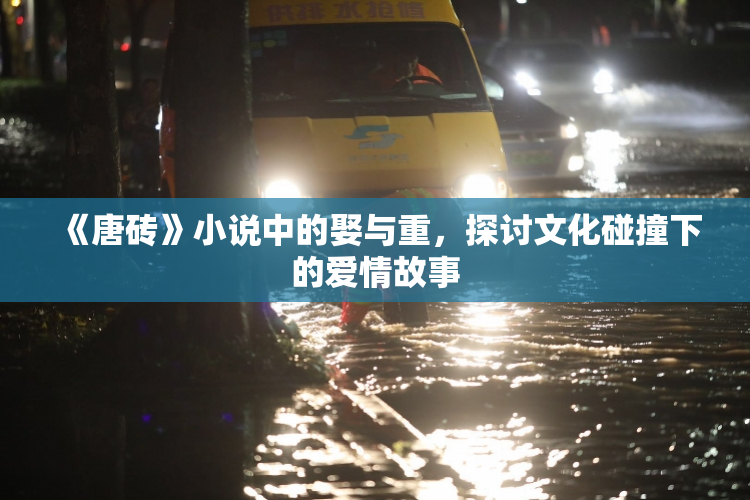 《唐砖》小说中的娶与重，探讨文化碰撞下的爱情故事