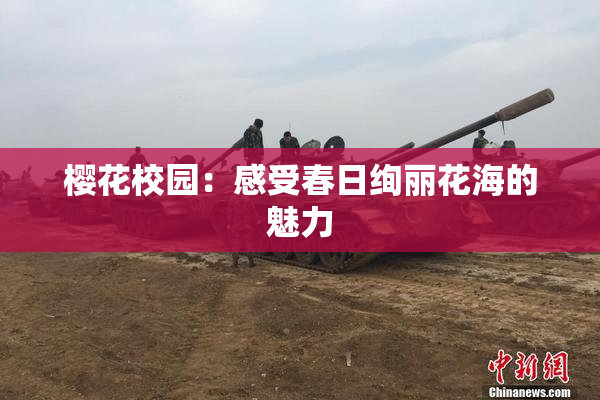 樱花校园：感受春日绚丽花海的魅力