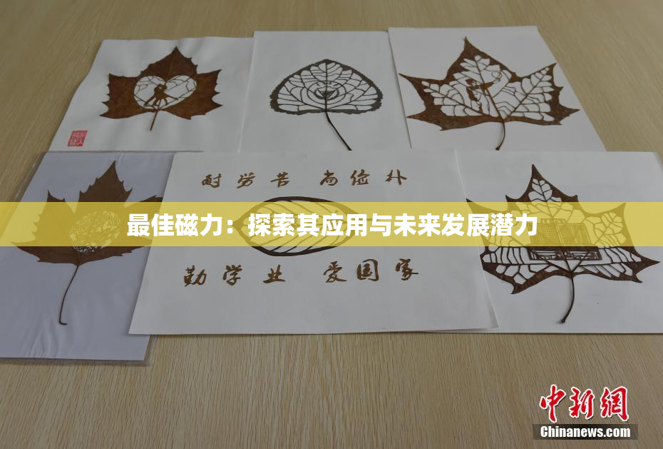 最佳磁力：探索其应用与未来发展潜力