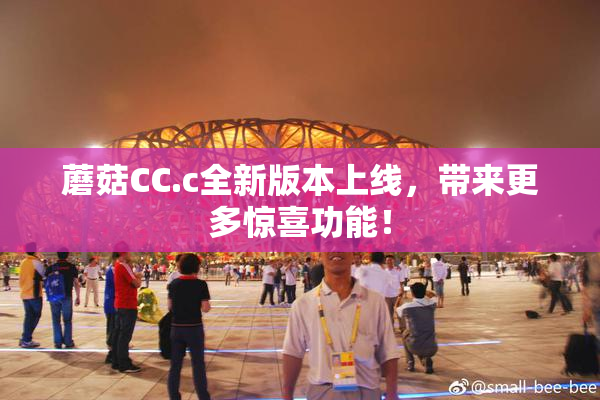 蘑菇CC.c全新版本上线，带来更多惊喜功能！