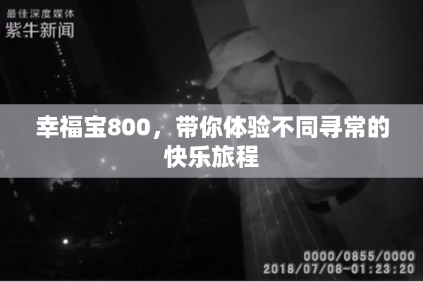 幸福宝800，带你体验不同寻常的快乐旅程