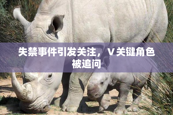 失禁事件引发关注，Ⅴ关键角色被追问