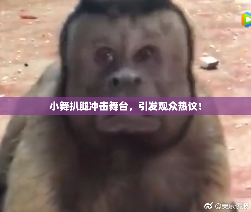小舞扒腿冲击舞台，引发观众热议！