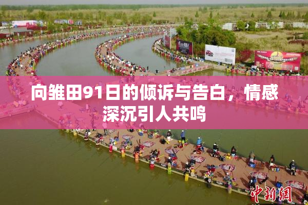 向雏田91日的倾诉与告白，情感深沉引人共鸣