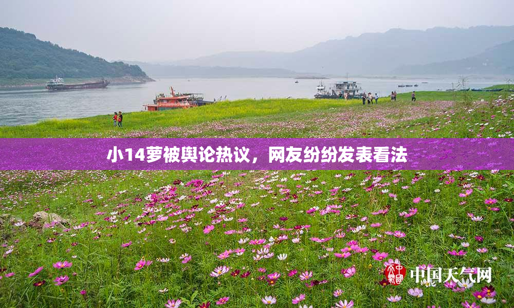 小14萝被舆论热议，网友纷纷发表看法