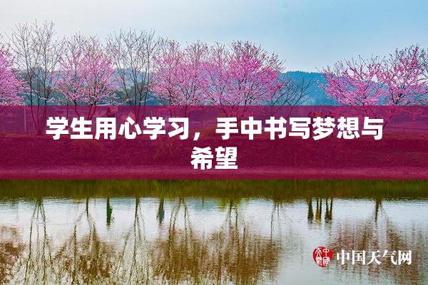 学生用心学习，手中书写梦想与希望