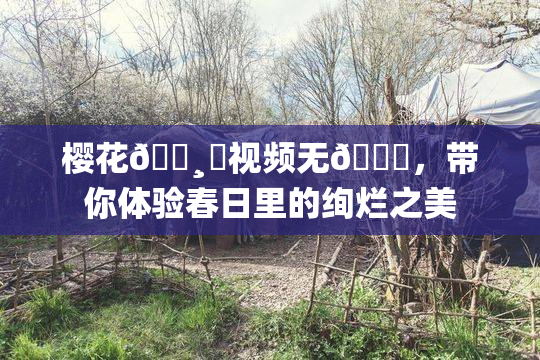 樱花🌸‌视频无🈚，带你体验春日里的绚烂之美