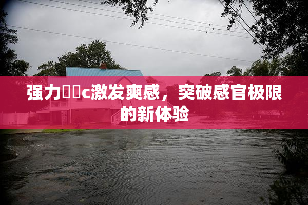强力❌‌c激发爽感，突破感官极限的新体验