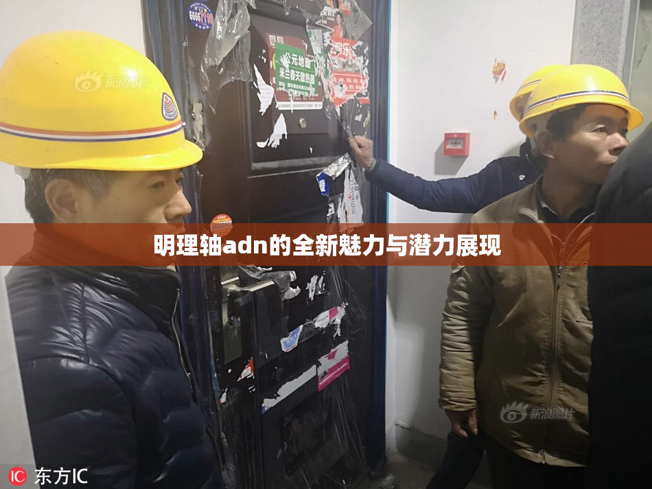 明理轴adn的全新魅力与潜力展现