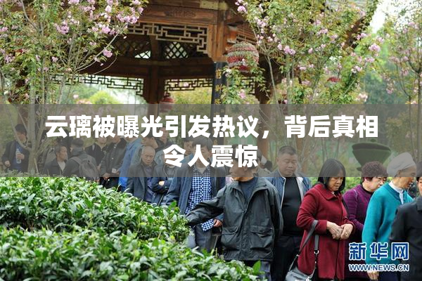 云璃被曝光引发热议，背后真相令人震惊