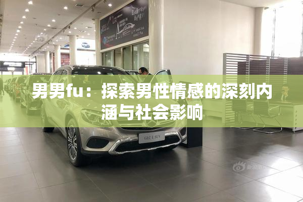 男男fu：探索男性情感的深刻内涵与社会影响