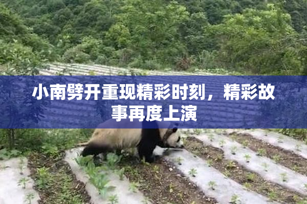 小南劈开重现精彩时刻，精彩故事再度上演