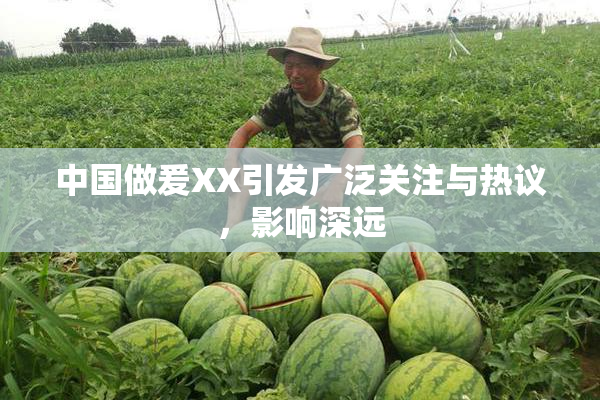 中国做爰XX引发广泛关注与热议，影响深远