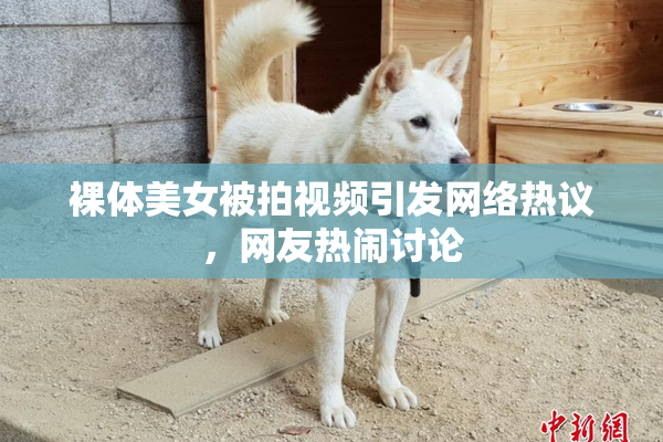 裸体美女被拍视频引发网络热议，网友热闹讨论