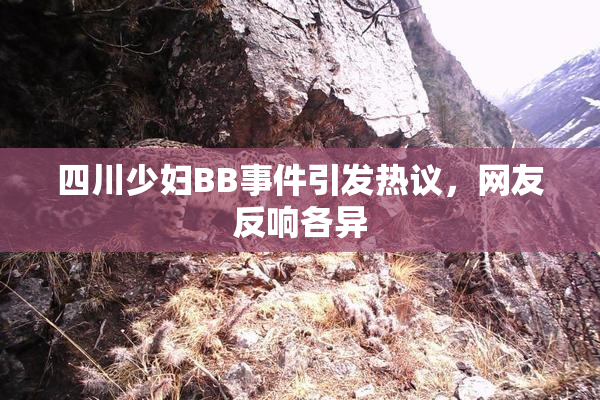 四川少妇BB事件引发热议，网友反响各异