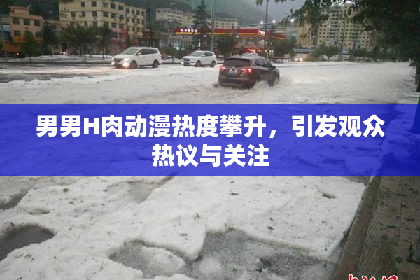 男男H肉动漫热度攀升，引发观众热议与关注