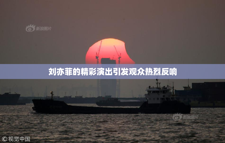 刘亦菲的精彩演出引发观众热烈反响