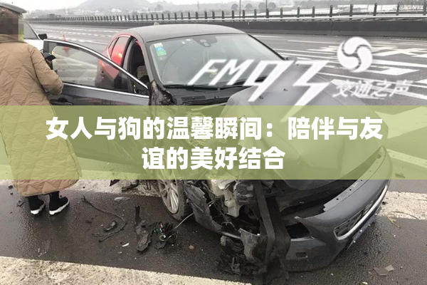 女人与狗的温馨瞬间：陪伴与友谊的美好结合
