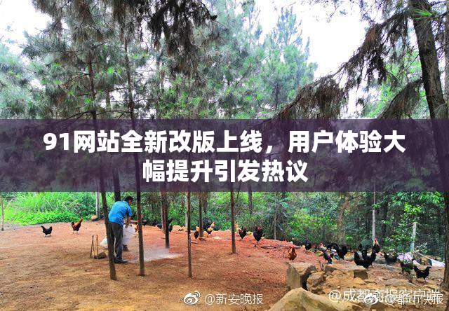 91网站全新改版上线，用户体验大幅提升引发热议