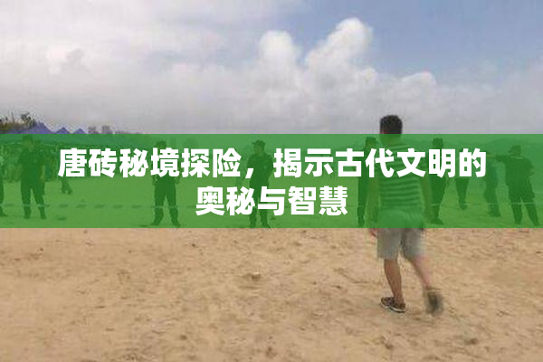 唐砖秘境探险，揭示古代文明的奥秘与智慧