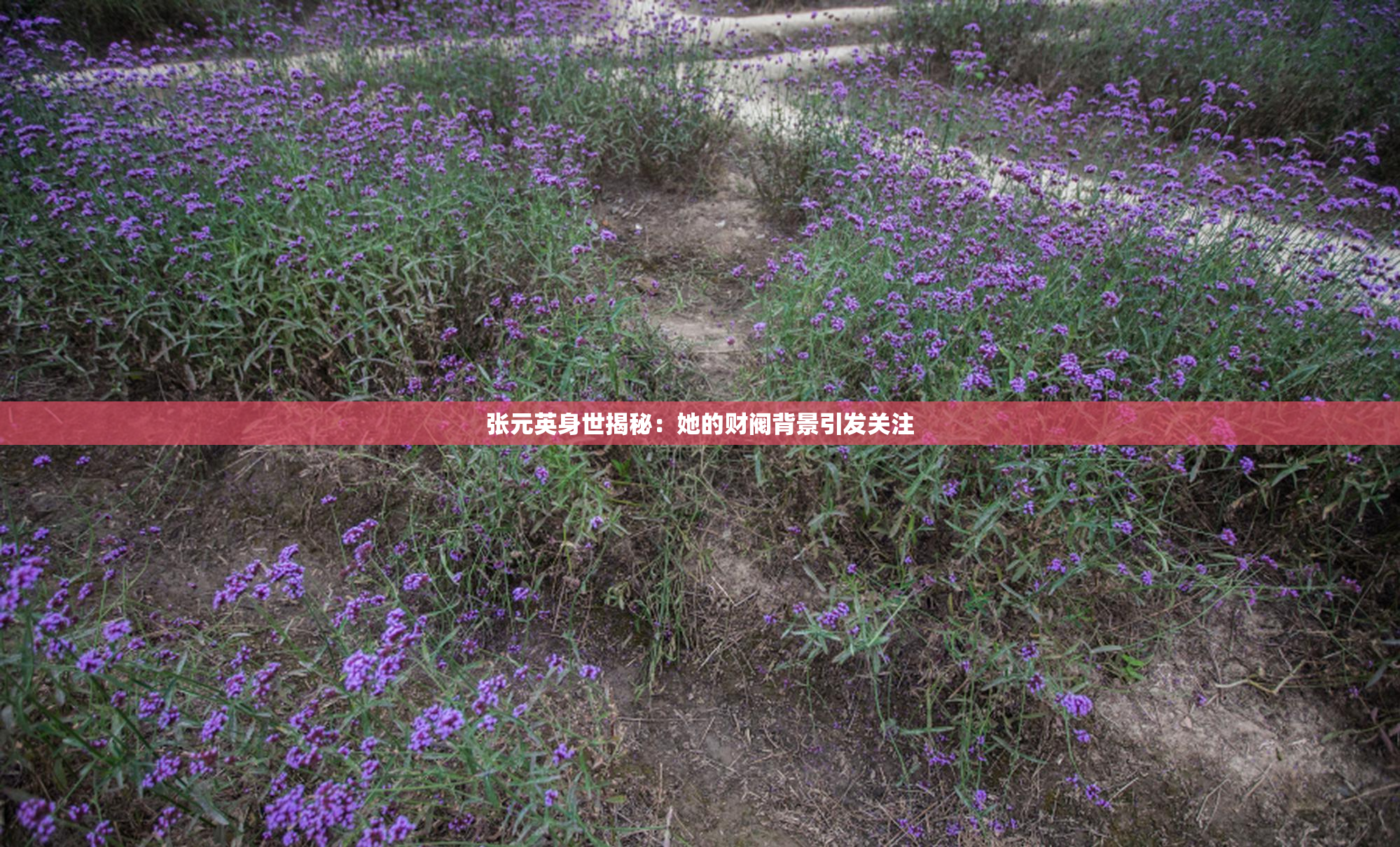 张元英身世揭秘：她的财阀背景引发关注