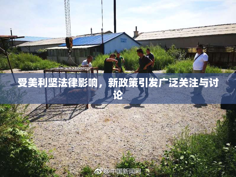 受美利坚法律影响，新政策引发广泛关注与讨论